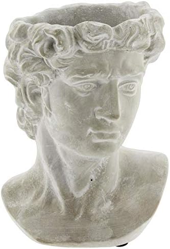 Greek Statue Head Cement Man Head David Planter (9")