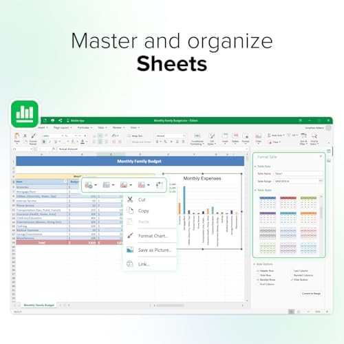 MobiOffice Lifetime 4-in-1 Productivity Suite for Windows | Lifetime License | Includes Word Processor, Spreadsheet, Presentation