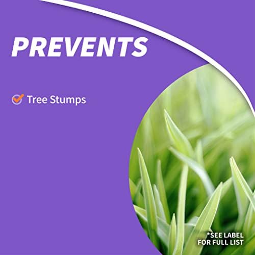 Bonide Stump-Out Granules, 1 lb | Do-it-Yourself At Home Stump Removal Pellets, Fast-Acting Formula, Outdoor Use