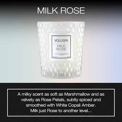 Voluspa Milk Rose, Classic Candle Jar, 6.5 Ounces, 40 Hour Burn Time, Coconut Wax for Clean Burning, Handcrafted in the USA