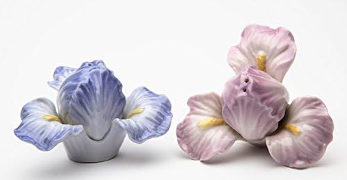 Fine Porcelain Iris Flower Salt and Pepper Shakers Set 2.25" H