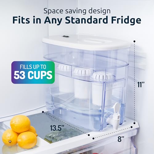 Invigorated Water Alkaline Water Filter Dispenser, 53-Cup Large Capacity