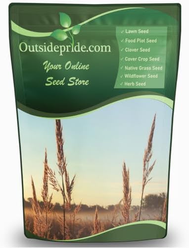 Outsidepride Perennial Andropogon Big Bluestem Grass Seed - 1 lb. Warm Season, Drought Resistant, Native Prairie Grass Seed, Ideal for Erosion Control, Ornamental Landscaping & Wildlife Gardens