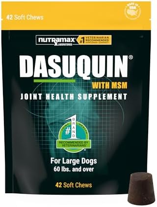 Nutramax Dasuquin MSM Joint Supplement for Large Dogs, Soft Chews, 84ct | Glucosamine and Chondroitin, ASU, MSM, Supports Healthy Joints, For Dogs Over 60 lbs, All Ages, Soft Chews