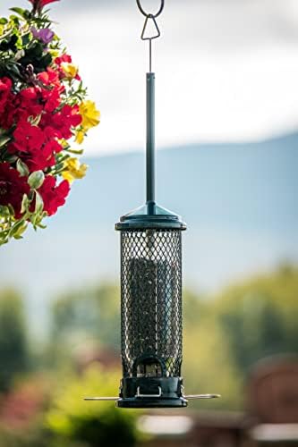 Squirrel Buster Mini Squirrel-Proof Bird Feeder for Wild Birds – 4 Metal Perches, 1 lb Seed Capacity, Chew-Proof Design, Lifetime Care