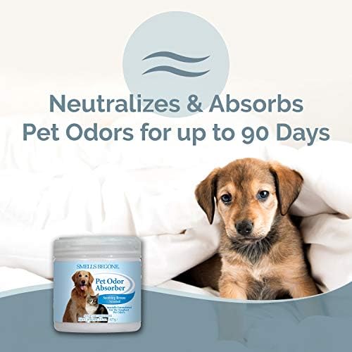 SMELLS BEGONE 15oz Gel Odor Eliminator - Absorb & Remove Tough Odors in Pet Areas, Bathrooms, Basements, Garage, Cars, RVs & Boats - Eliminate Odors Quickly (1-Pack, Pet Calming Rain)