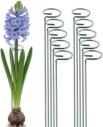 10 Pieces 24 inch Green Single Stem Plant Stakes Flower Support Rings,Gardening Planter Cages for Single Stem Flowers, Amaryllis, Peony, Lily,Narcissus