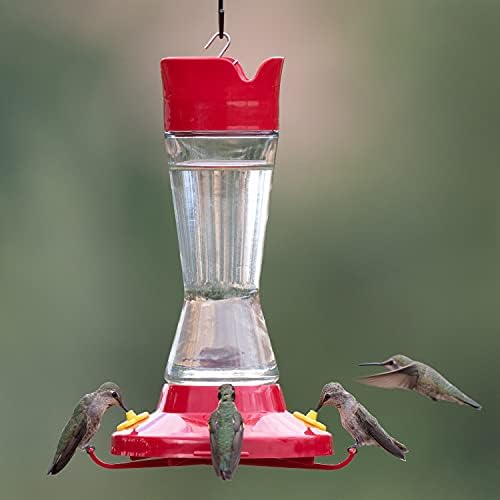 Perky-Pet 210PB Pinch-Waist Glass Hummingbird Feeder with Perches, Built-in Ant Moat and Bee Guards - Outdoor Garden Decor, Unique Gifts