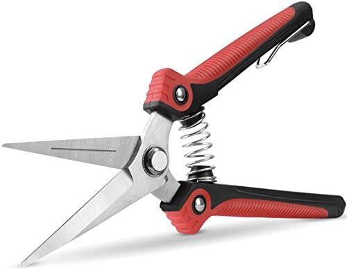 WYF Pruning Scissors, Professional Garden Shears - Straight Stainless Steel Blades - Sharp Gardening Hand Pruner for Garden Harvesting Fruits