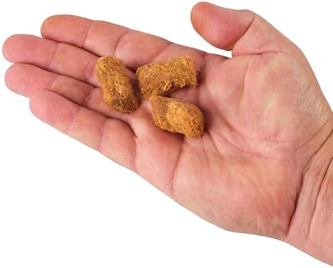 Berkley PowerBait Catfish Bait Chunks Fishing Dough Bait