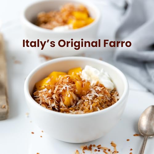 Jovial Einkorn 100% Organic Wheat Berries - Einkorn Berries, Organic Farro, High Protein, Non-GMO, USDA Certified, Lower Carb, Whole Grain, Product of Italy - 16 Oz