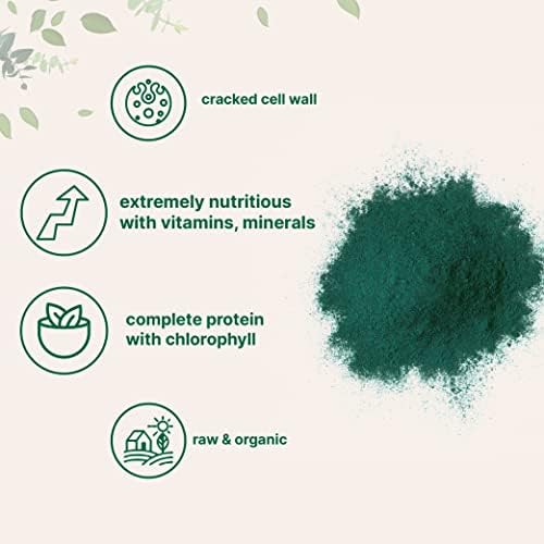 Organic Chlorella Powder, 10 Ounce, Broken Cell Wall, Rich in Vegan Proteins & Vitamins, Raw, Bulk Premium Chlorella Supplement, Vegan Friendly