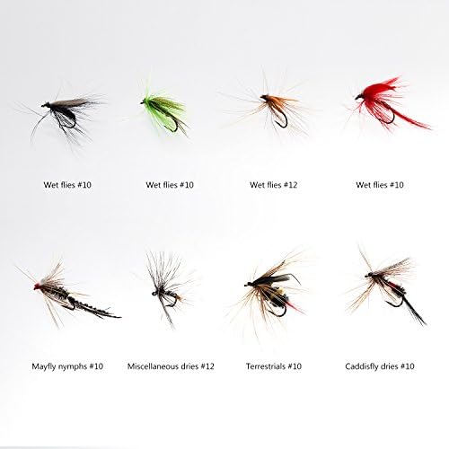 BASSDASH Fly Fishing Assorted Flies Kit, Pack of 64 pcs Including Dry and Wet Flies, Nymphs, Streamers, Terrestrials, Leeches and More