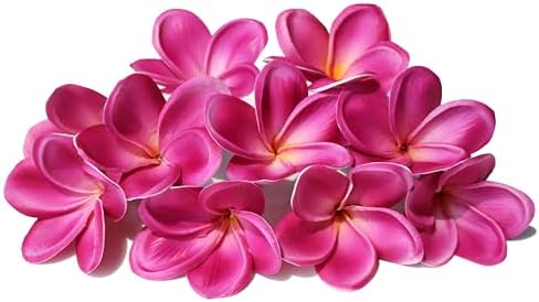 10PCS Artificial Plumeria Flowers with Stem, Apricot | Natural Real Touch,DIY Cake Decoration, Hawaiian Part, Luau Decor, Wedding Bouquets