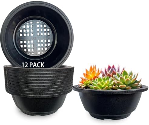 MUZHI 12PACK Matte Black Succulent Bonsai Round Planter Bowl Pot with Drainage, Plastic Cactus Flat Garden Plant Bowl Pots 6.3”