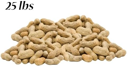 BestNest Peanuts in The Shell, 25 lbs.