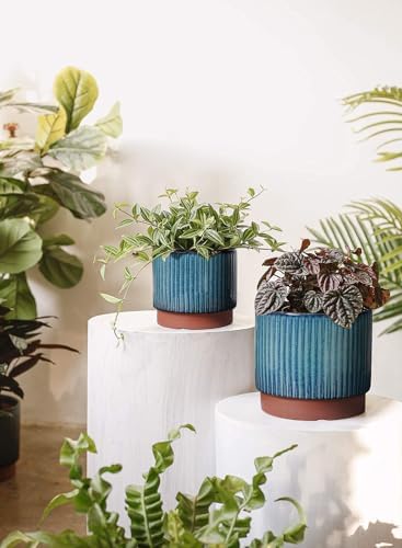 LE TAUCI Ceramic Plant Pots with Drainage Holes, Set of 3, 8+6.7+5.5 Inch Stripe Garden Planter Pots for Outdoor Indoor Plants Flower