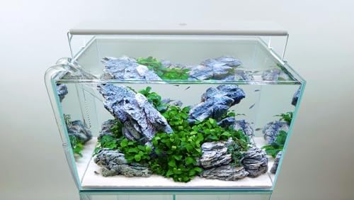 CURRENT USA 18-24" Inch White Full Spectrum Freshwater LED Aquarium Plant Light 10 15 20 25 Gallon | Satellite Plus RGB+ for Aquariums | Wireless 24