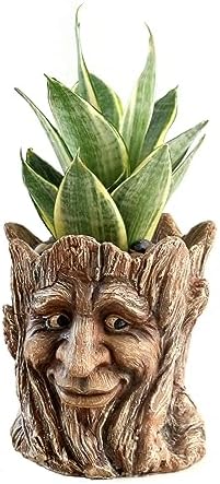 Funny Planter Head Face Plant Pot with Drainage Hole Resin Succulent Plant Holder Pencil Holder Desk Organizer Office Garden Gift (Smile Face)