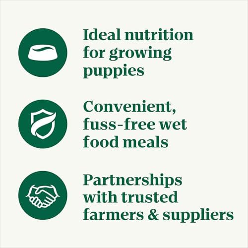Nutro Puppy Tender Cuts Wet Dog Food, Chicken & Rice, 3.5 oz, 24 count | Bites in gravy, real chicken #1 ingredient, 100% complete & balanced for puppies up to 1 year, no artificial flavors