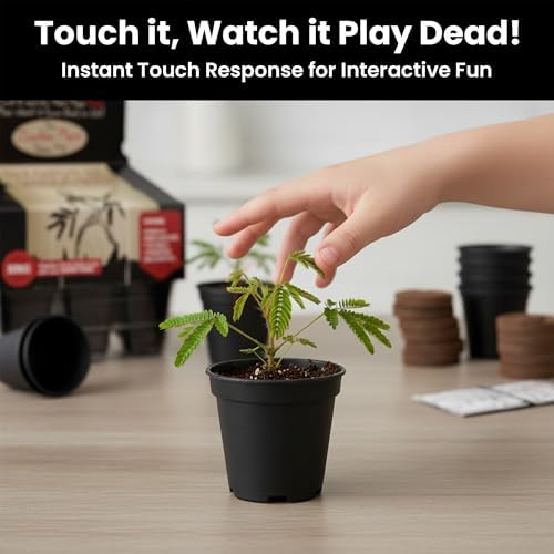 Zombie Plant Seed Packets – Grow a Live Sensitive Plant that Plays Dead When Touched! Indoor Plant Seeds & Educational STEM Activity | House Plant Seeds | Unique Garden Seeds – 2 Pack