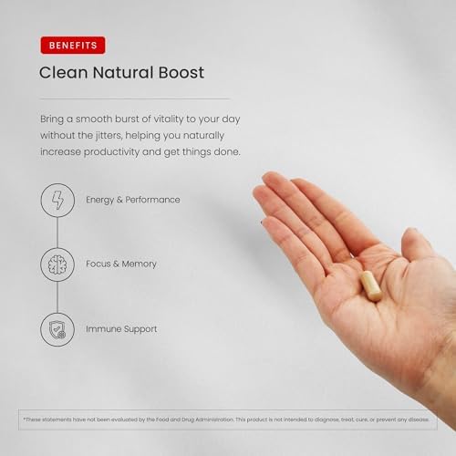 NutraChamps Korean Red Panax Ginseng Capsules | Extra Strength Ginsenosides for Energy, Focus, Performance, Vitality & Immune Support | Korean Ginseng Root Extract for Men (120)