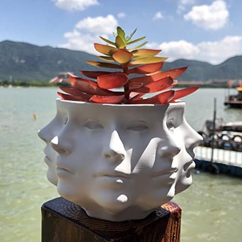 Resin Multi-Face Head Planter, Indoor Succulent Decor