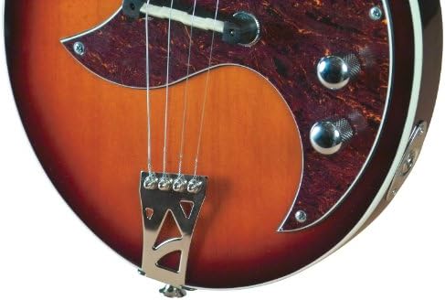 Kentucky KM-300E 4-String Electric Mandolin – Traditional Sunburst, Solid Basswood Body, Maple Neck, Gig Bag Included