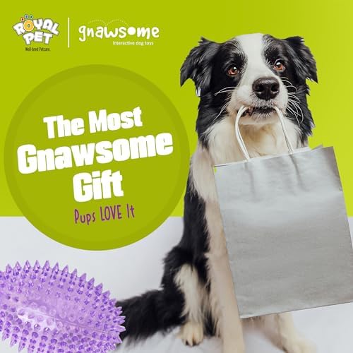 Gnawsome™ 4.5” Spiky Squeaker Football Dog Toy - Large, Cleans Teeth and Promotes Good Dental and Gum Health for Your Pet, Colors Will Vary