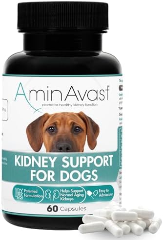 AminAvast Kidney Support for Dogs Over 20lb, 1000mg, 60 Sprinkle Capsules | Feed Directly or Open Capsules & Mix With Food, Flavorless, Easy Daily Use