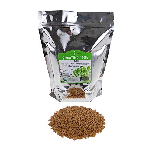 Handy Pantry Organic Spelt Seeds – Bulk Grain for Baking, Seed Rotation | Homesteading, Grinding – 30 lb Food-Grade Bucket – Non-GMO, Whole, Untreated