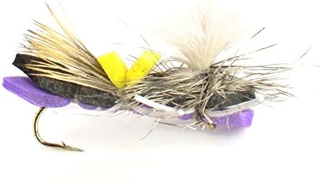 The Fly Fishing Place Chernobyl Ant and Foam Hopper Fly Fishing Flies Assortment - 12 Flies - 2 Each of 6 Trout Bass Flies with Fly Box