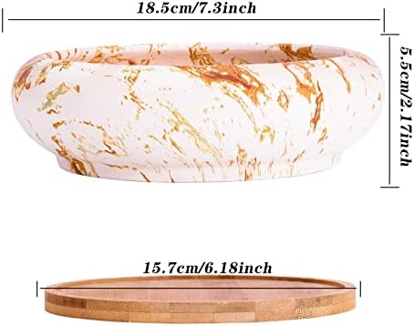 Succulent Pots, 7.3'' Large Bonsai Pots with Tray, Shallow Planters