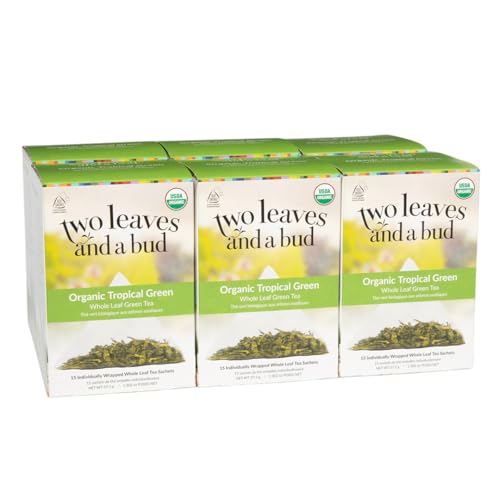 Two Leaves and a Bud Organic Tropical Green Tea, 15 Count (Pack of 1) | Whole Leaf Green Tea in Pyramid Sachets, Sencha Green Tea