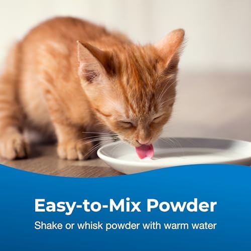 PetAg KMR Healthy Development - 14 oz - Great Tasting Nutritional Supplement for Cats and Weaning Kittens