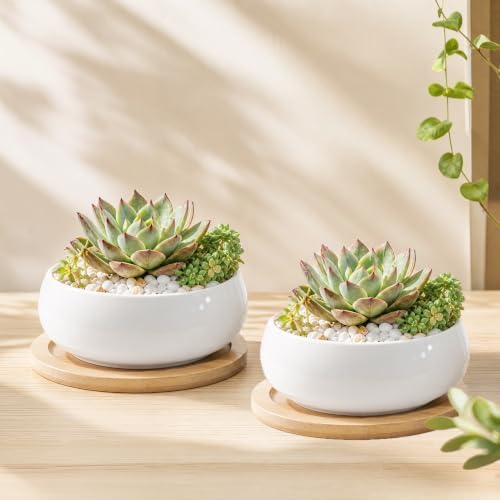 ZOUTOG 2 Pack 6" Ceramic Succulent Pots, White Planters with Drainage Tray