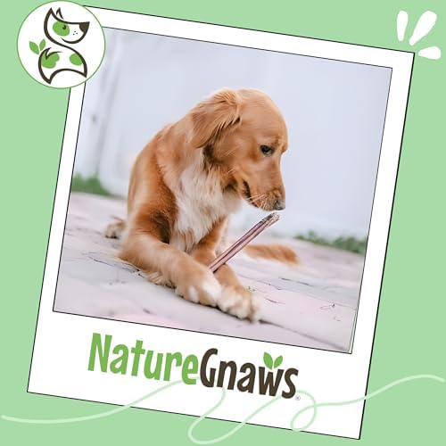 Nature Gnaws Bully Sticks 11-12" Long Lasting Rawhide Free Dog Chews, 8 oz