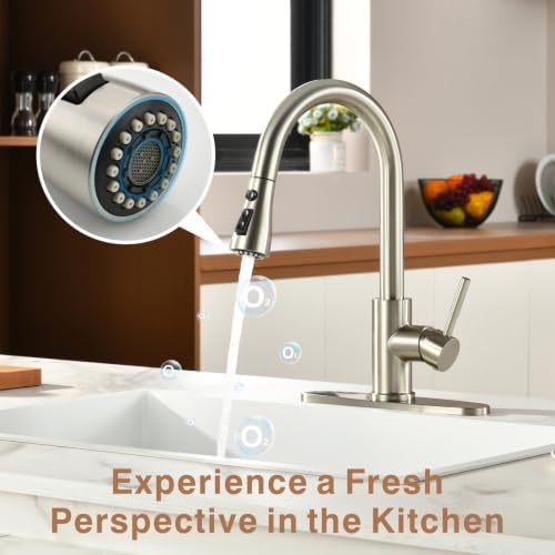 RULIA Kitchen Faucet, Pull-Down Sink Faucet with 3 Functions Sprayer, Kitchen Sink Faucet, PB1020