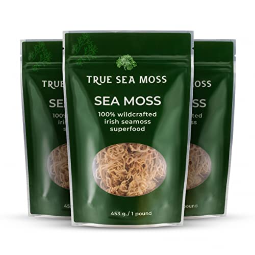 TrueSeaMoss Raw Irish Sea Moss – Wildcrafted Sun-Dried Seaweed for Homemade Gel – 16oz (1 lb) Makes Up to 200oz Gel – Atlantic Harvested
