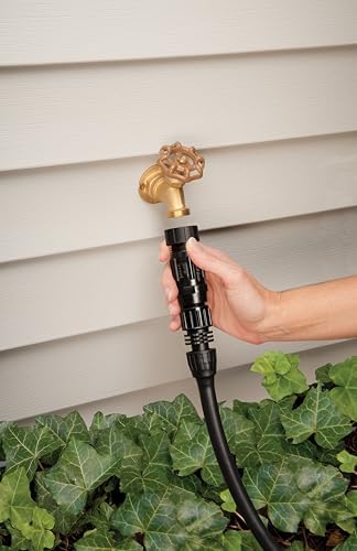 Rain Bird HT07525PSI Drip Irrigation 25 PSI Pressure Regulator, 3/4" Female Hose Thread x 3/4" Male Hose Thread