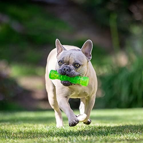 Hyper Pet Dura-Squeaks Stick Dog Toy, Large, Green