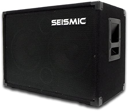 Seismic Audio - 210 Bass Guitar Speaker Cabinet PA DJ 400 Watts 2x10 PRO AUDIO