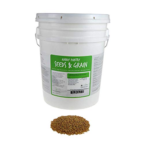 Soft White Wheat - Organic - Handy Pantry Brand - Perfect for Food Storage, Flour, Baking, Sprouting & More (35Lb)