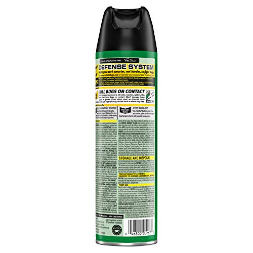 Raid House & Garden Bug Killer Aerosol Kills Bugs on Contact Won’t Harm Plants Indoor and Outdoor Use 11 Ounce (Pack of 1)
