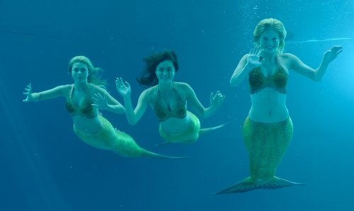 H2O: Just Add Water: Season 3