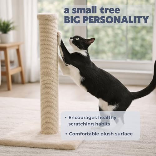 Trixie Parla Cat Scratching Post 24.4 Inch - Cat Scratcher with Soft Fabric Covering Base and Durable Natural Jute Rope - Beige