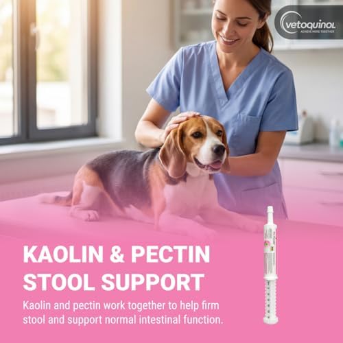 Vetoquinol Pro-Pectalin Oral Paste for Dogs & Cats – Chicken Flavor – Helps Reduce Occasional Loose Stool & Diarrhea, Balance Gut pH, Support Normal Digestion & Intestinal Flora - 30 cc