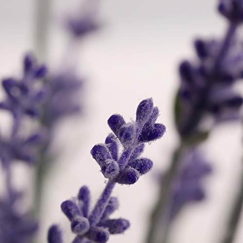 Artificial Lavender Flowers with Silk Flocked Fake Lavender Plant for Wedding Home Table Centerpiece Decor-Pack of 4