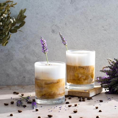 Le'raze Set of 12 Heavy Base Rocks Glass Cups, Elegant Old Fashioned Drinking Glasses Set for Whiskey, Cocktails, Beer and More - Dishwasher Safe