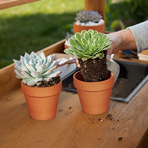 KOAMLY 3 inch Plant Nursery pots Number of Items in a 20 Pack, with Drain, Succulent Seedling Planter, use with Indoor, windowsill